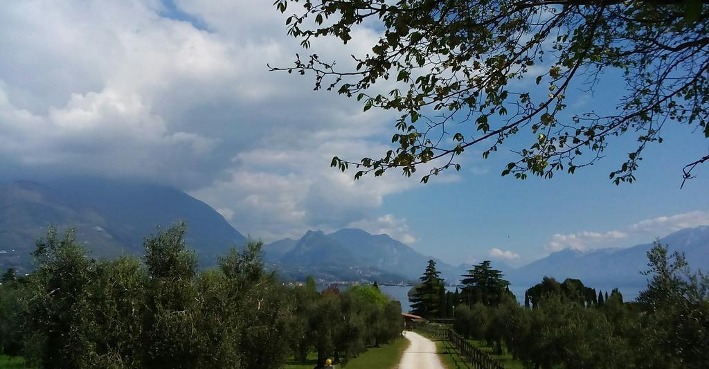 Appartamento Agata San Felice del Benaco Esterno foto